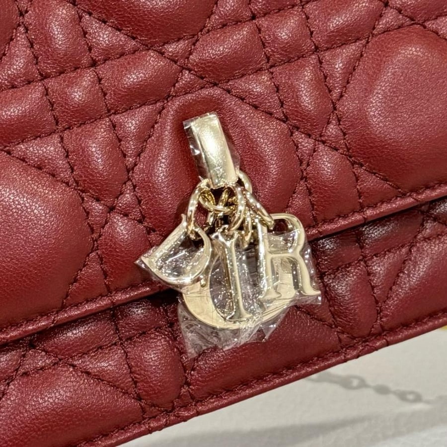 My dior mini