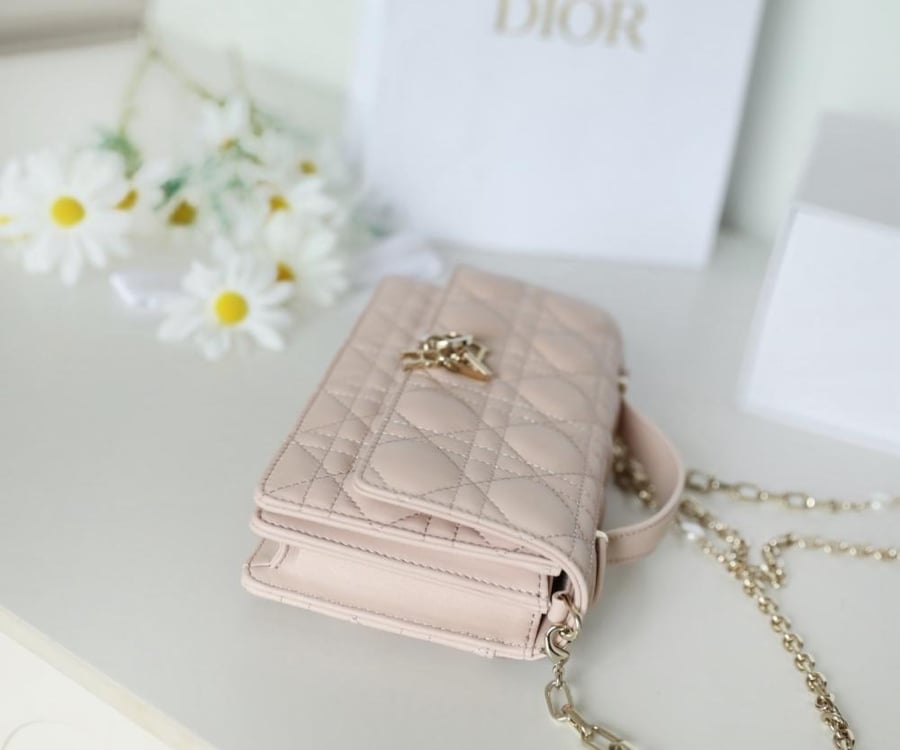 My dior mini