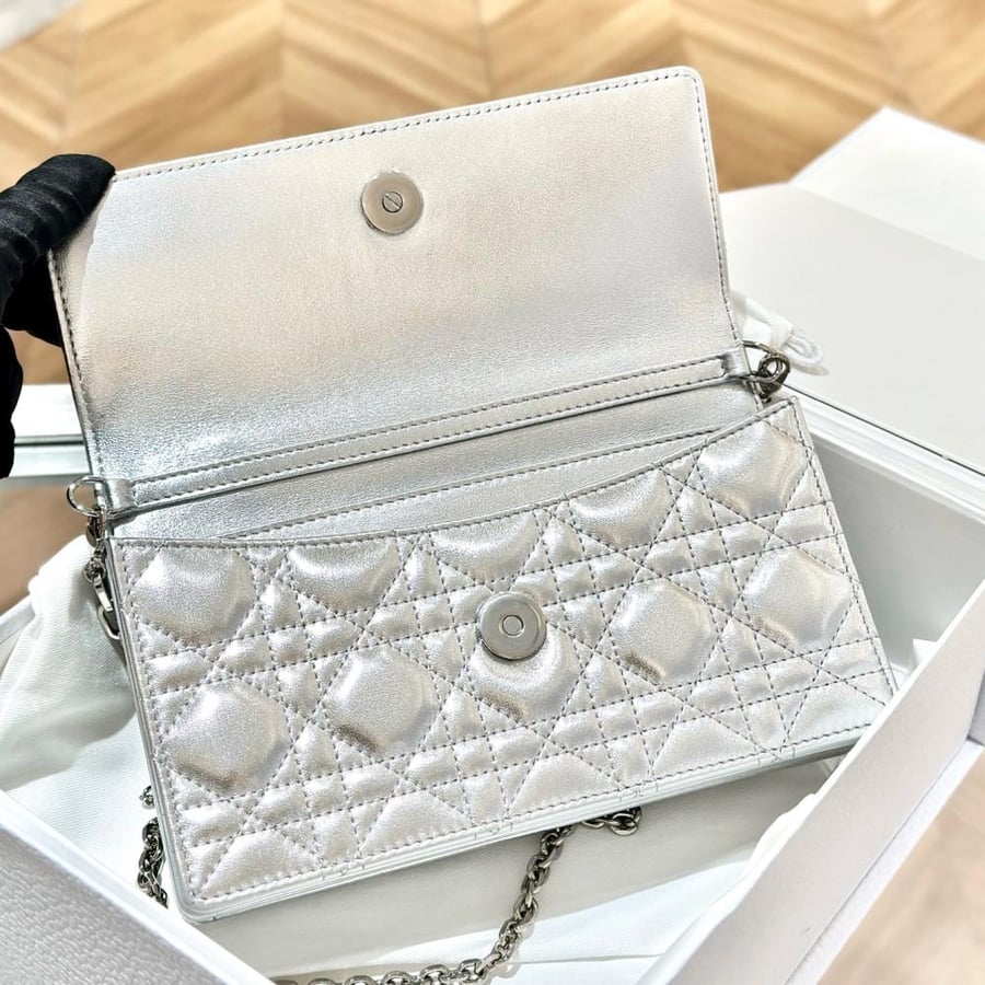 My dior mini