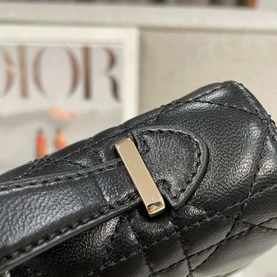 My dior mini