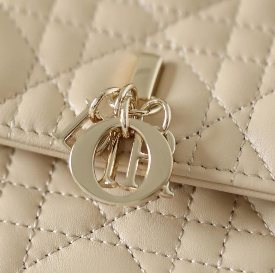 My dior mini
