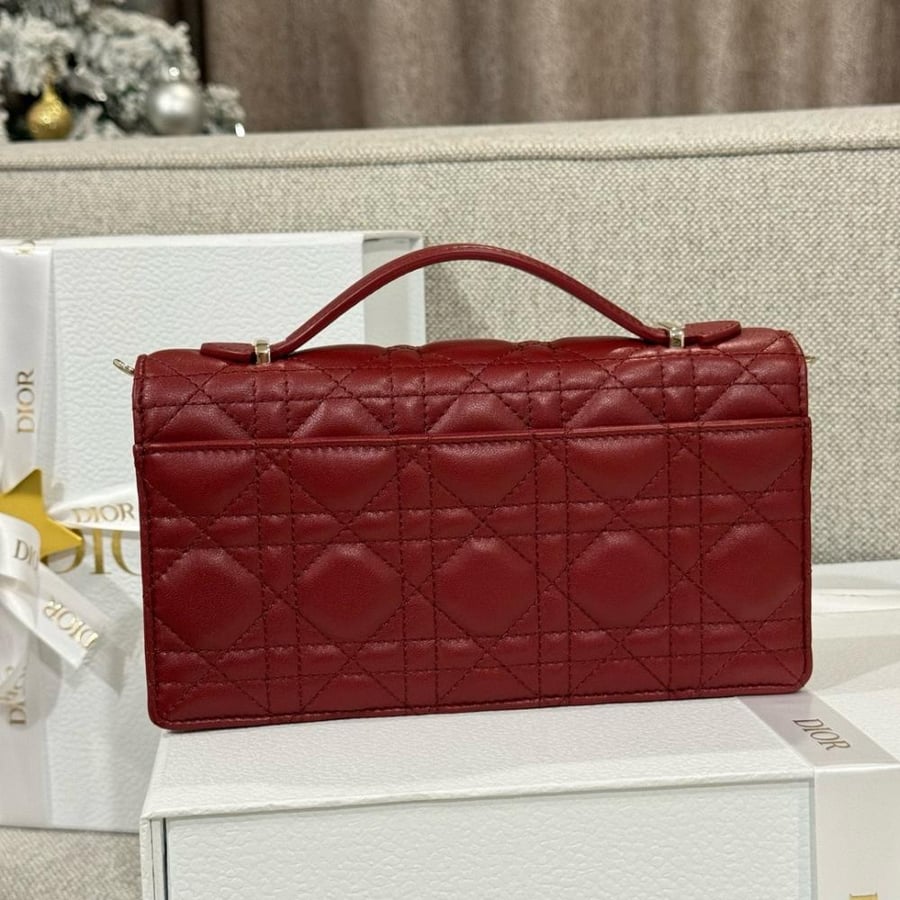 My dior mini
