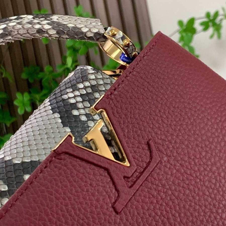 Lv Capucines Mini Size bag