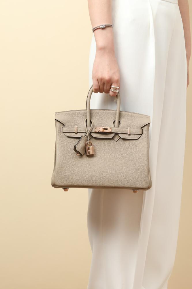 Birkin 25 togo 81
