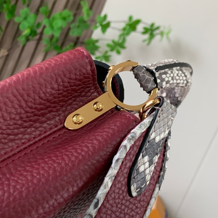 Lv Capucines Mini Size bag