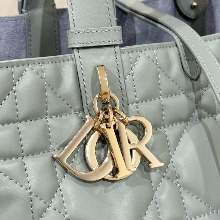 Medium Dior Toujours Bag