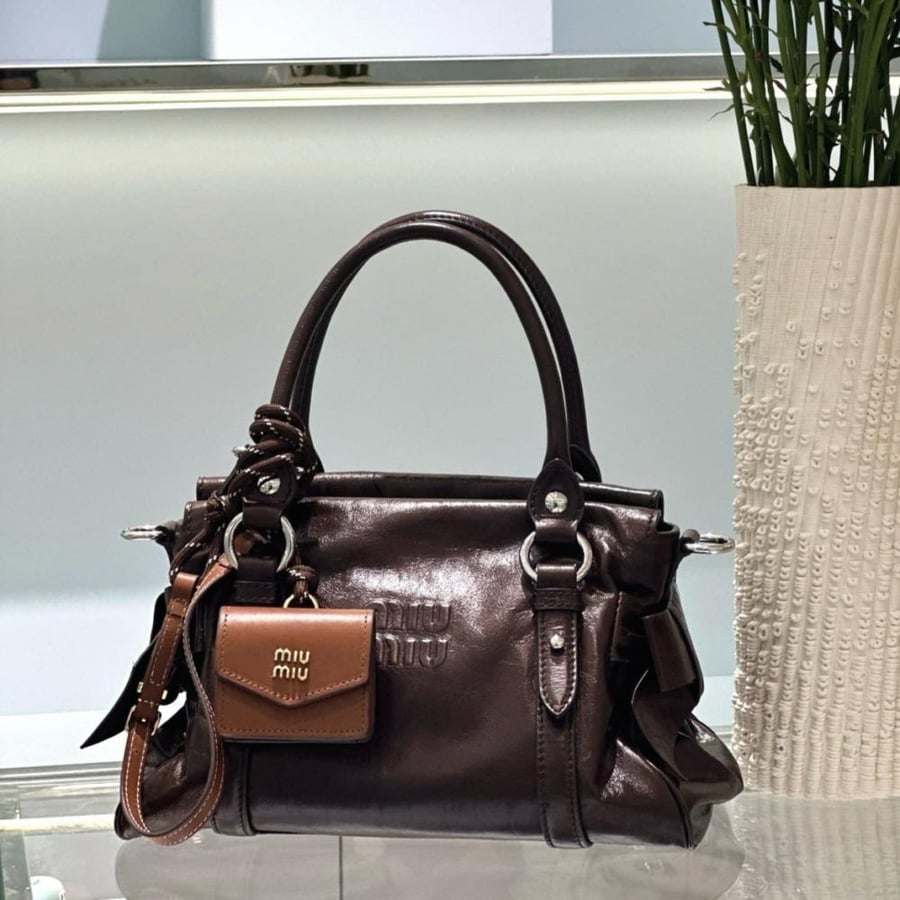 Shiny leather top handle
