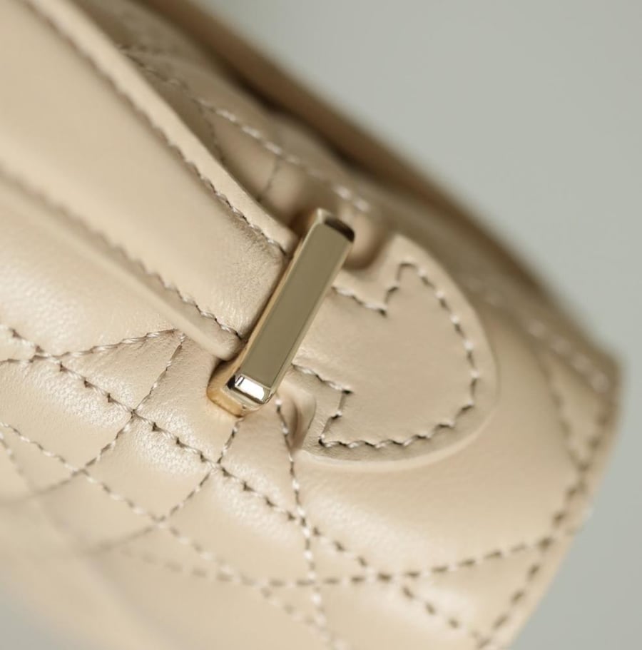 My dior mini