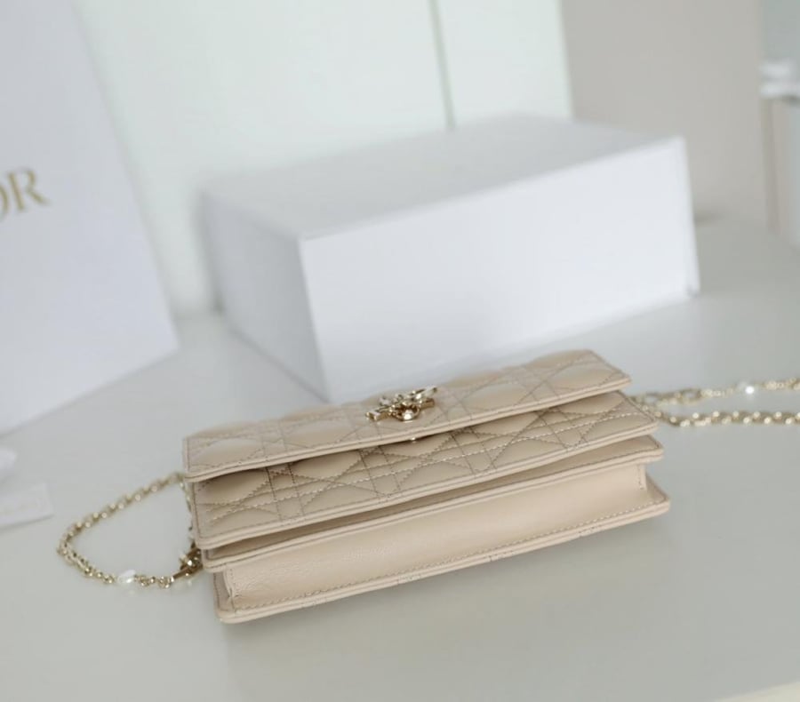 My dior mini