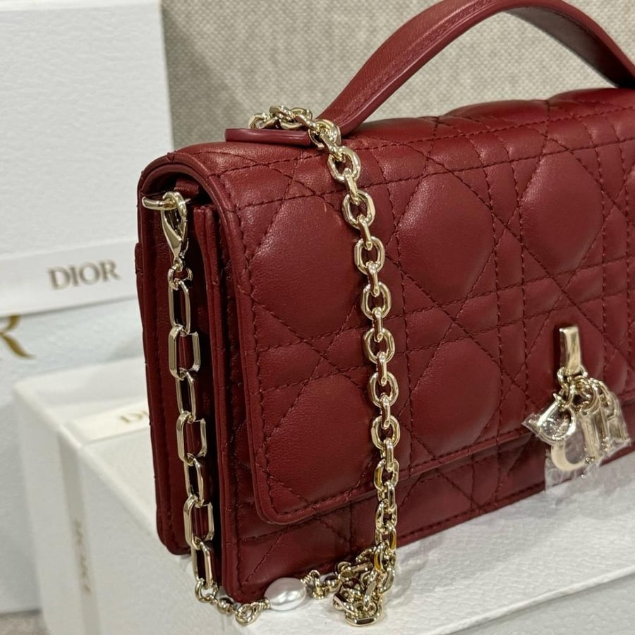 My dior mini