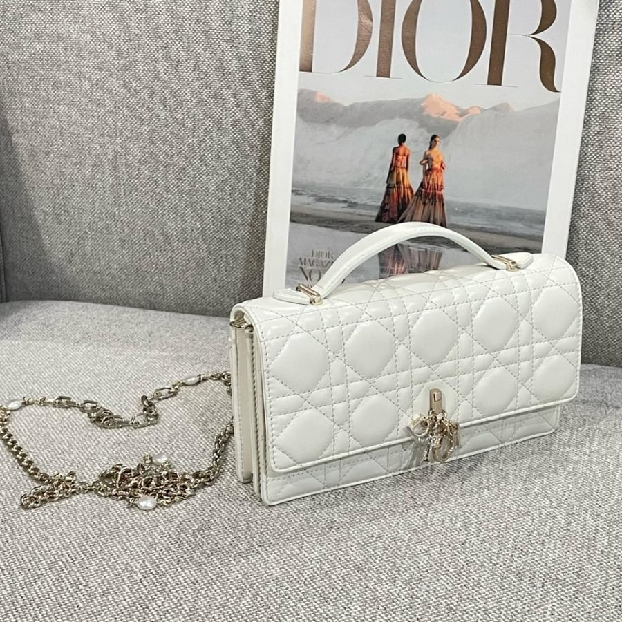 My dior mini