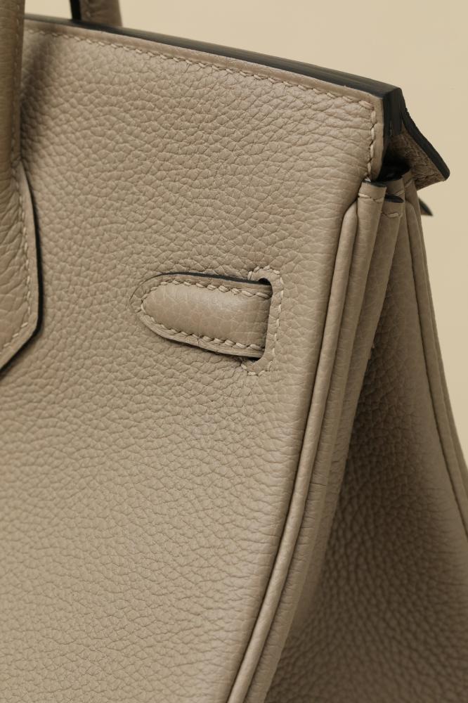 Birkin 25 togo 81