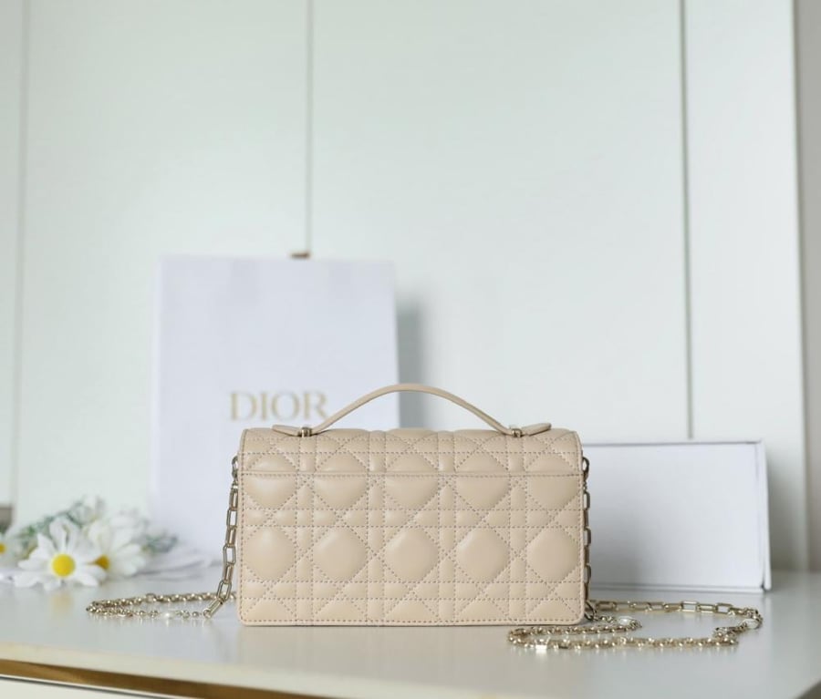 My dior mini