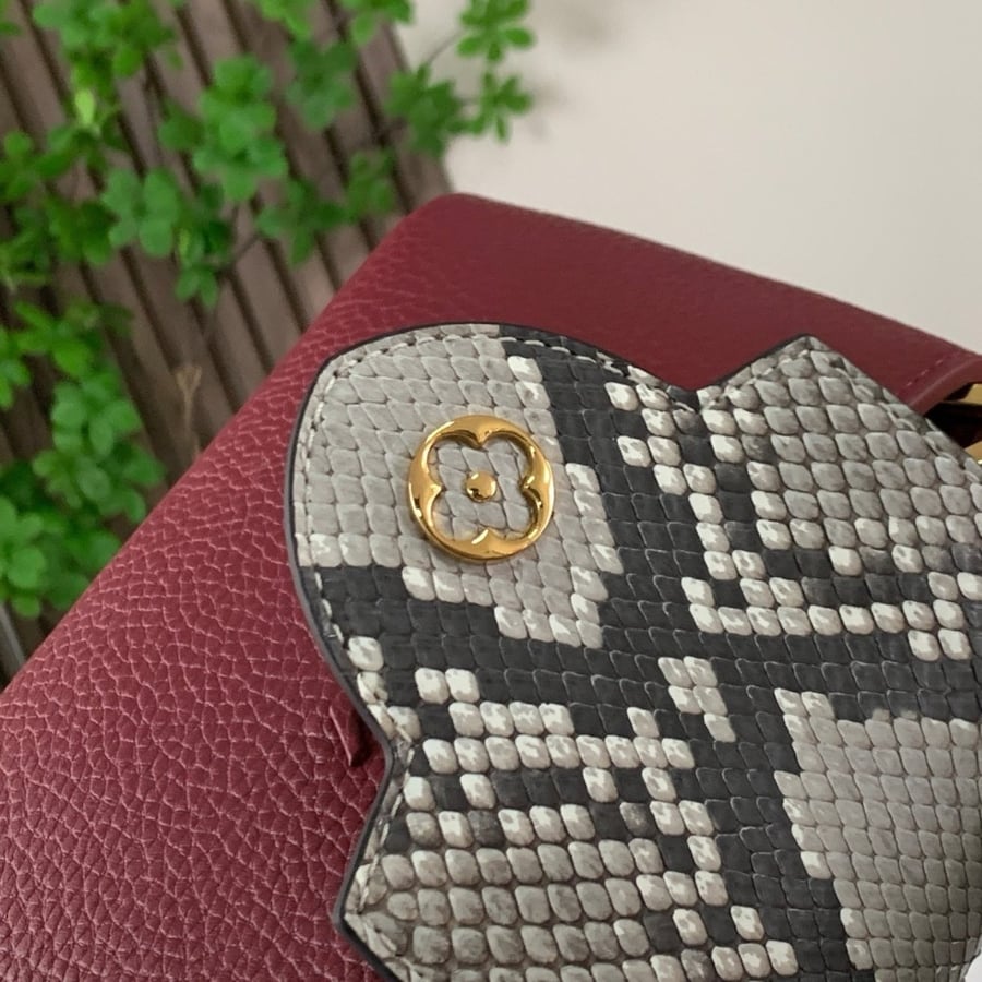 Lv Capucines Mini Size bag