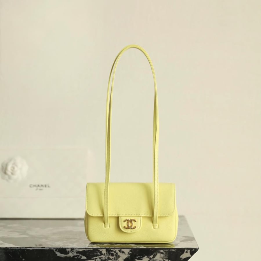 Chanel mini 26p