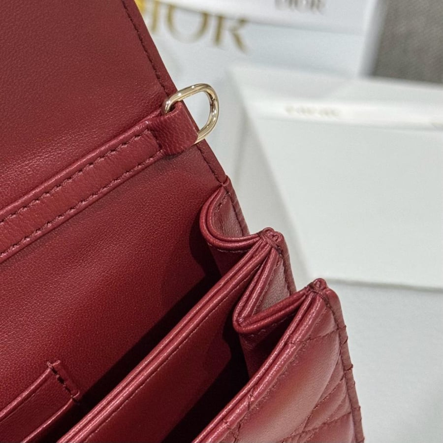 My dior mini