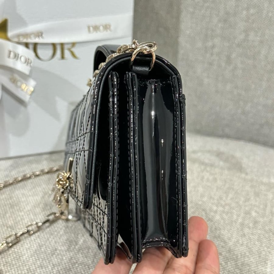 My dior mini
