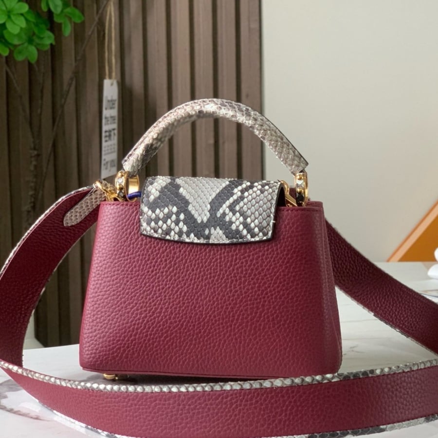 Lv Capucines Mini Size bag