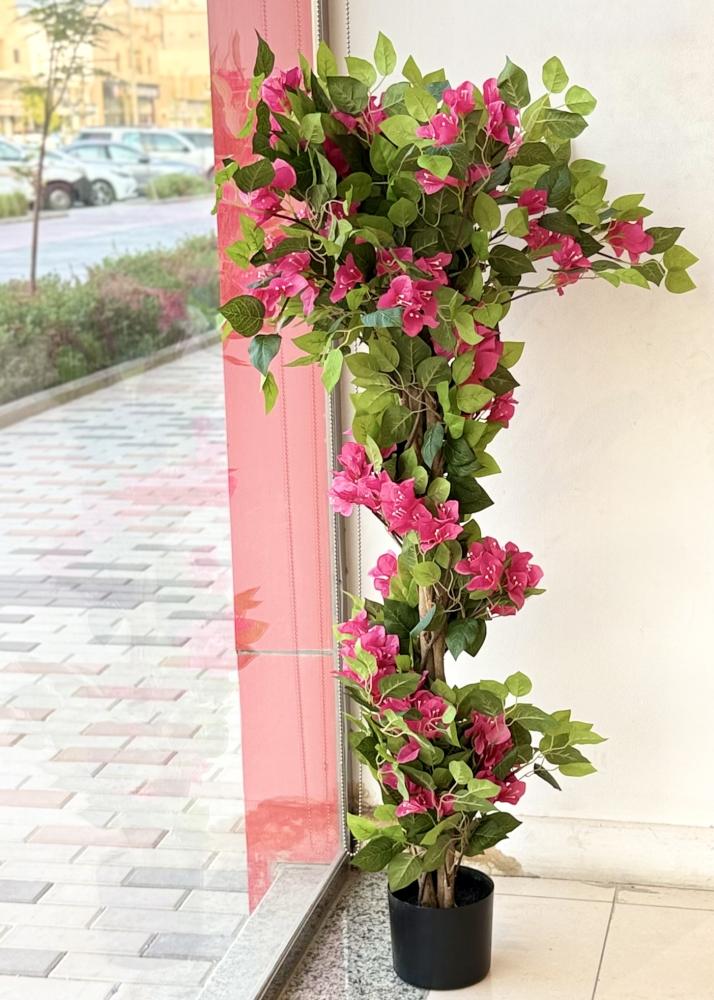 شجرة جهنمية طبقات
