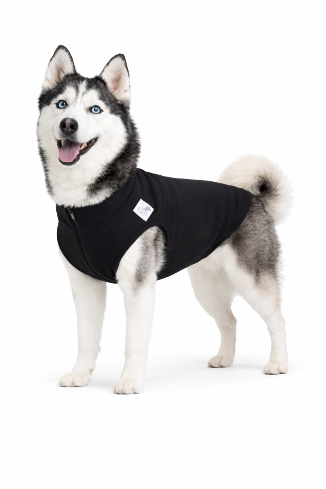 A nice and elegant jacket for your pet