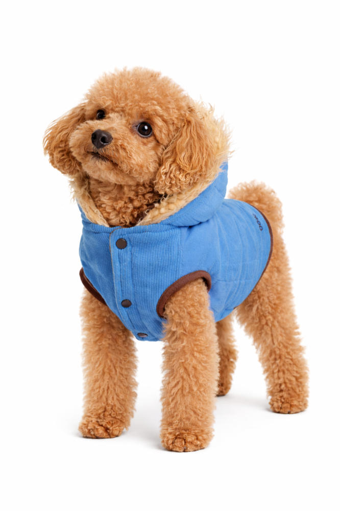 Woof winter coat for dogs