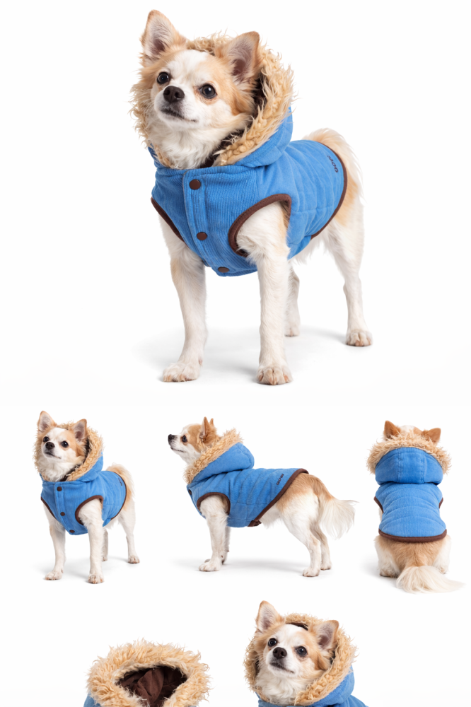 Woof winter coat for dogs