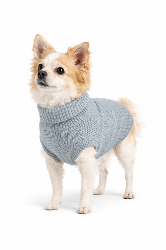 كنزة فالنسيا الدافئة- Valencia Cozy Pet Sweater
