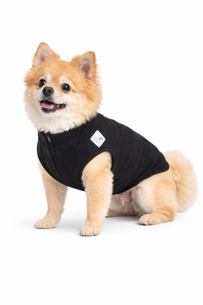 A nice and elegant jacket for your pet