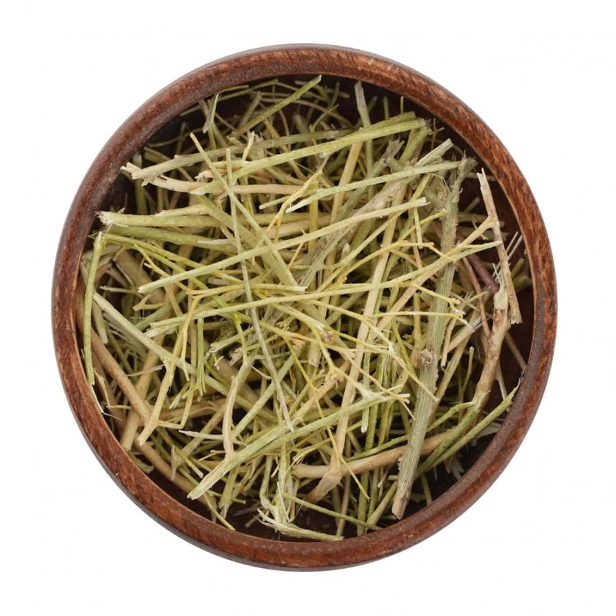 عشبة المدينة
