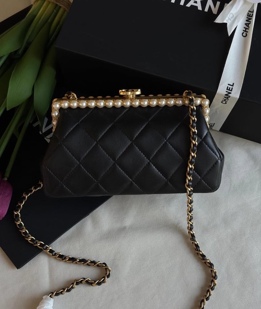 Chanel bag 20 cm