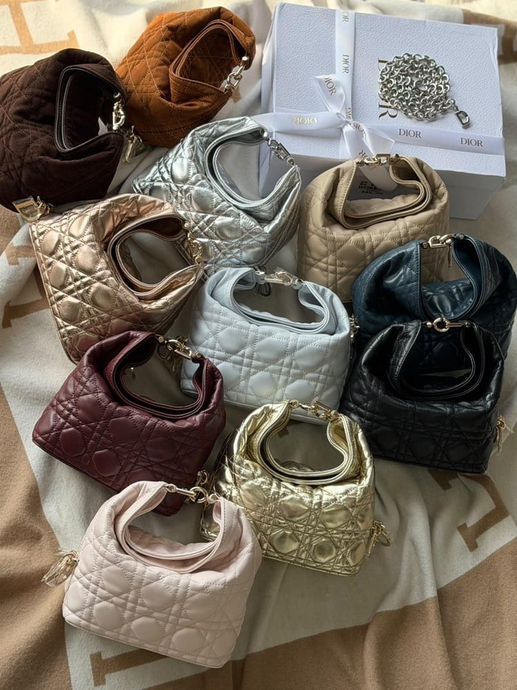 حقيبة هوبو Dior Toujours بحجم ميني