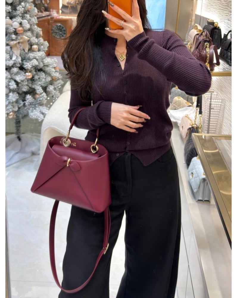 شنطة ديور Cigale مقاس 24cm