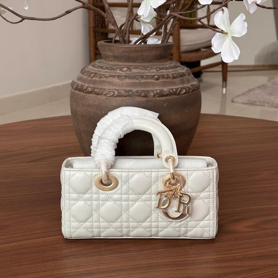 شنطة ديور 22 سم | Dior Bag 22 cm