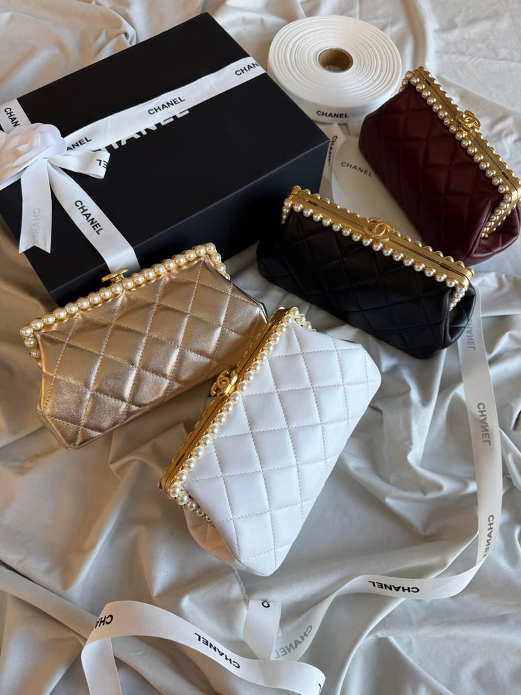 Chanel bag 20 cm