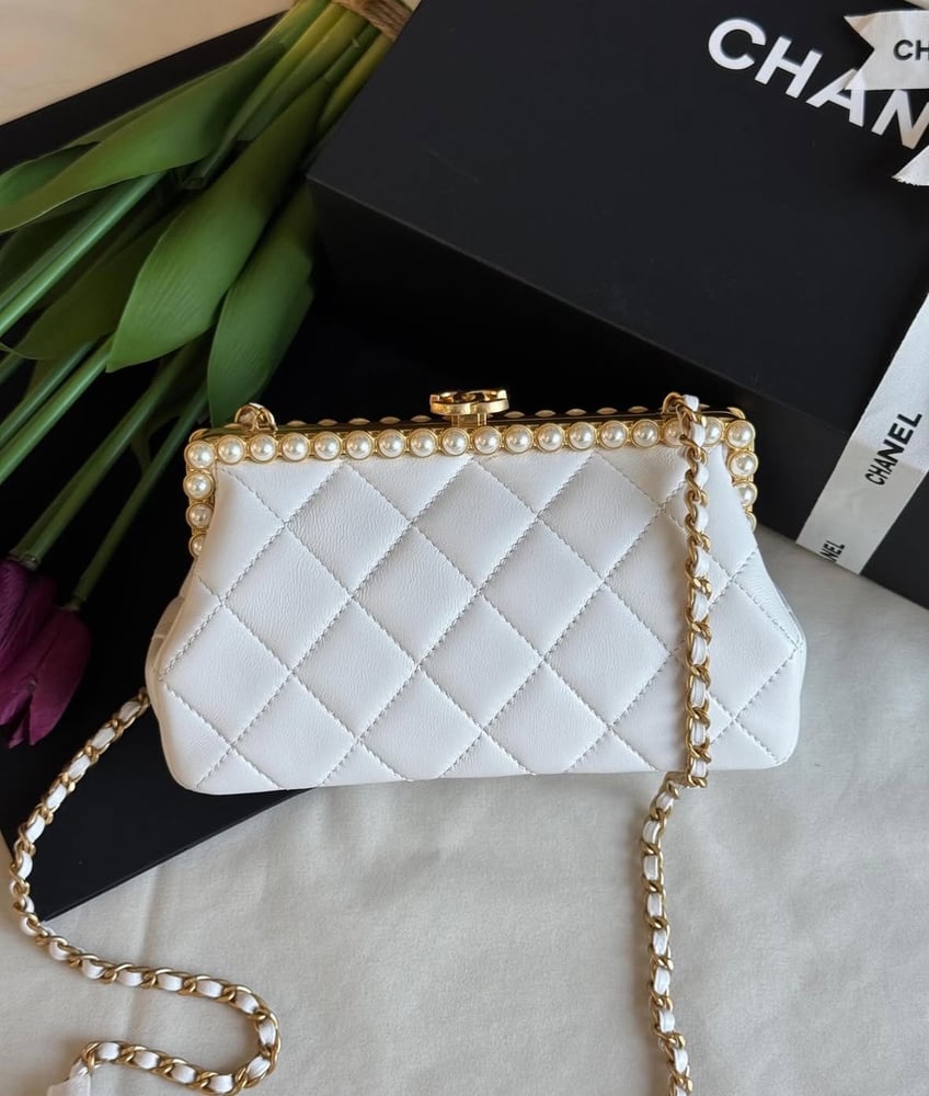 Chanel bag 20 cm