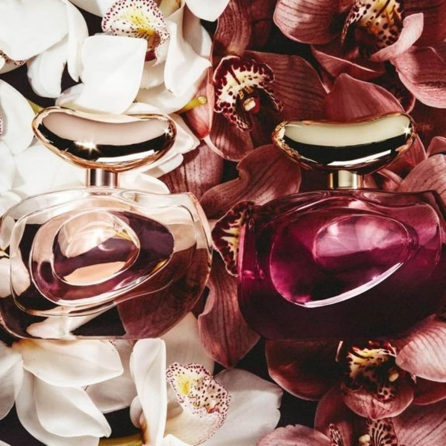 عطر فينس كاموتو الومينير انتنسا او دو بارفيوم 100مل