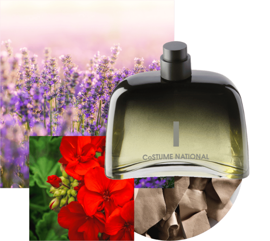 عطر كوستوم ناشونال اي او دو بارفيوم 100مل