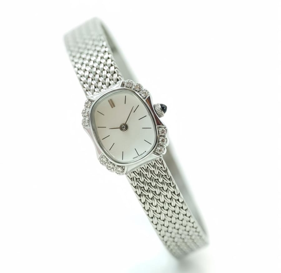 Luxurious crystal watch in silver color