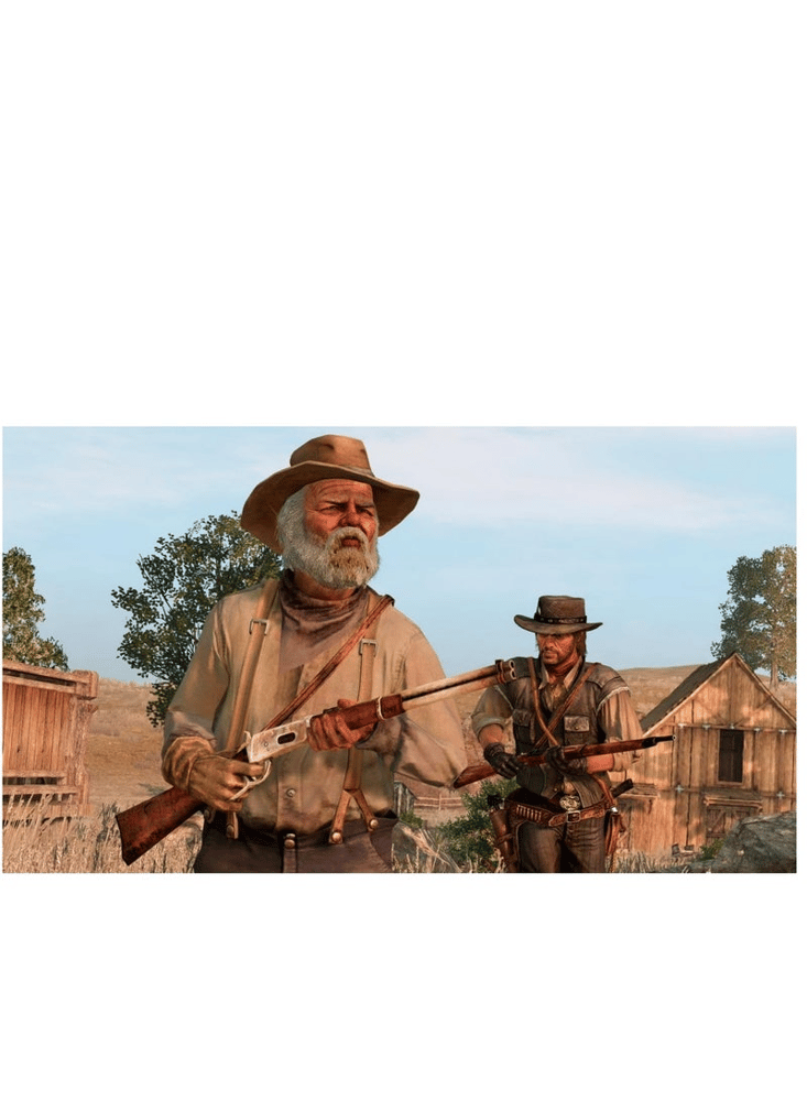 Red Dead Redemption  - PlayStation 4 PS4 - INFIBYTE