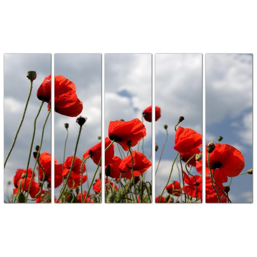 Wall art - red roses - 1299 - divided into five equal pieces