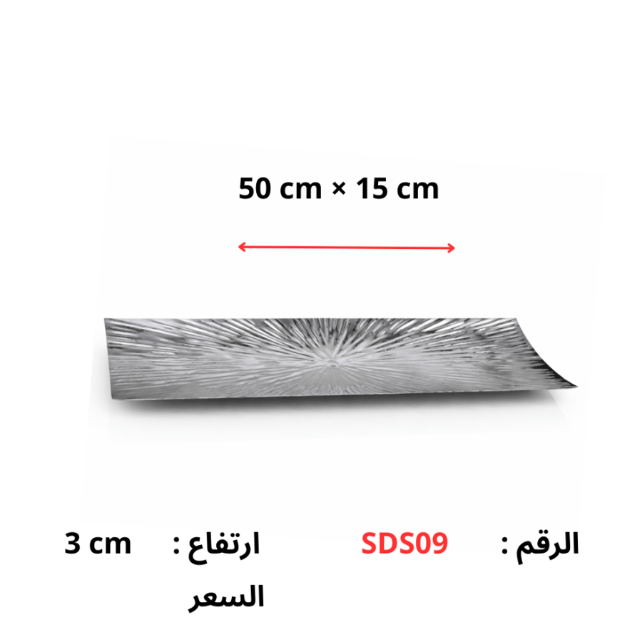 طبق تقديم ستانلس ستيل راقي