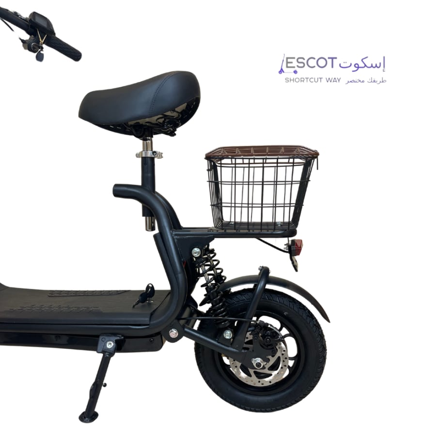 إسكوت سلة 2025