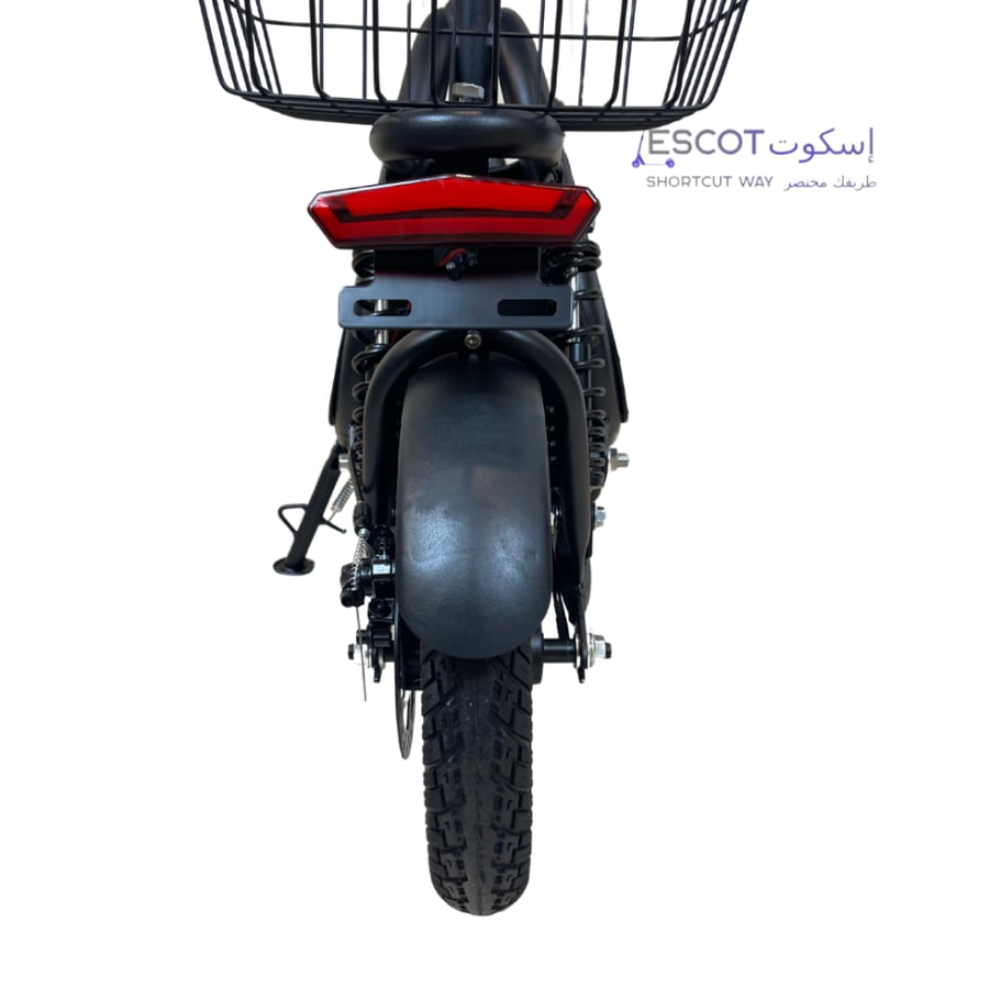 إسكوت سلة 2025