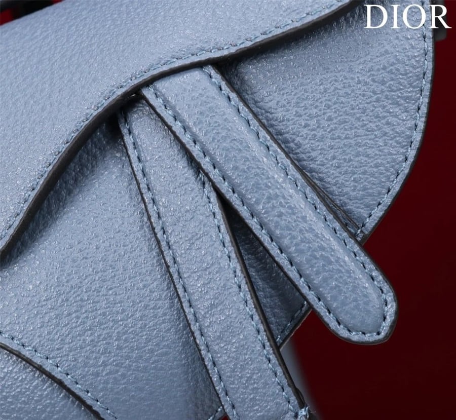 شنطة ديور Saddle