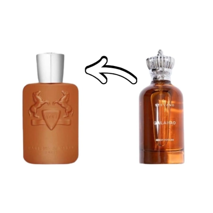 عطر ستيفانو جالهاد او دو بارفيوم 100مل