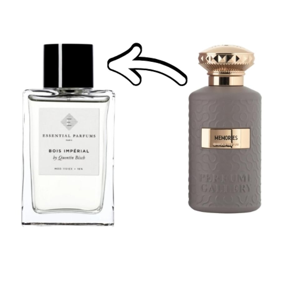 Perfume Gallery Memories Eau de Parfum 100 ml
