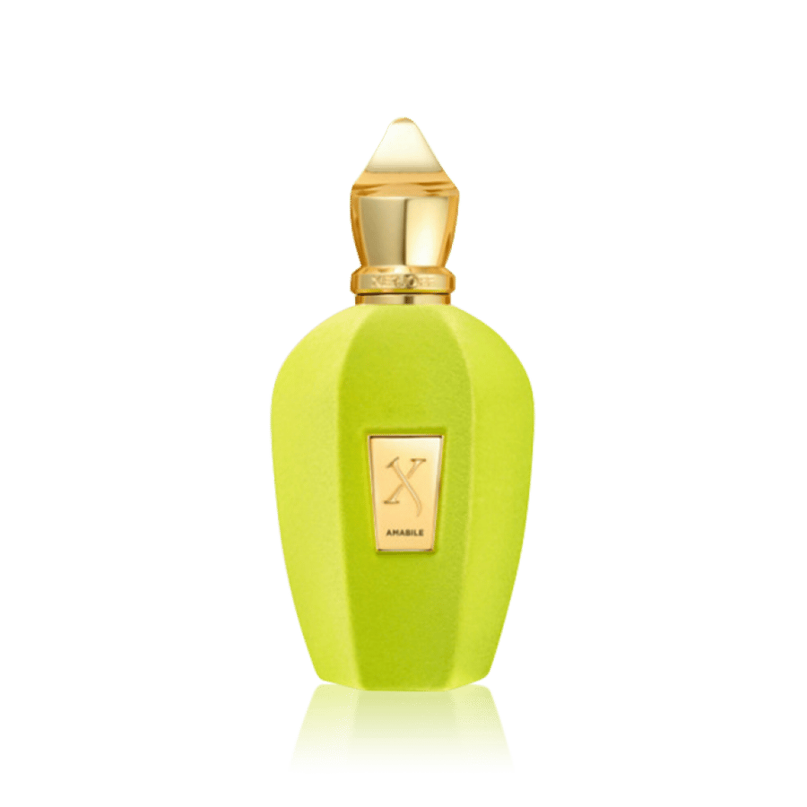 Zirjov Amabile Eau de Parfum 100 ml for both genders
