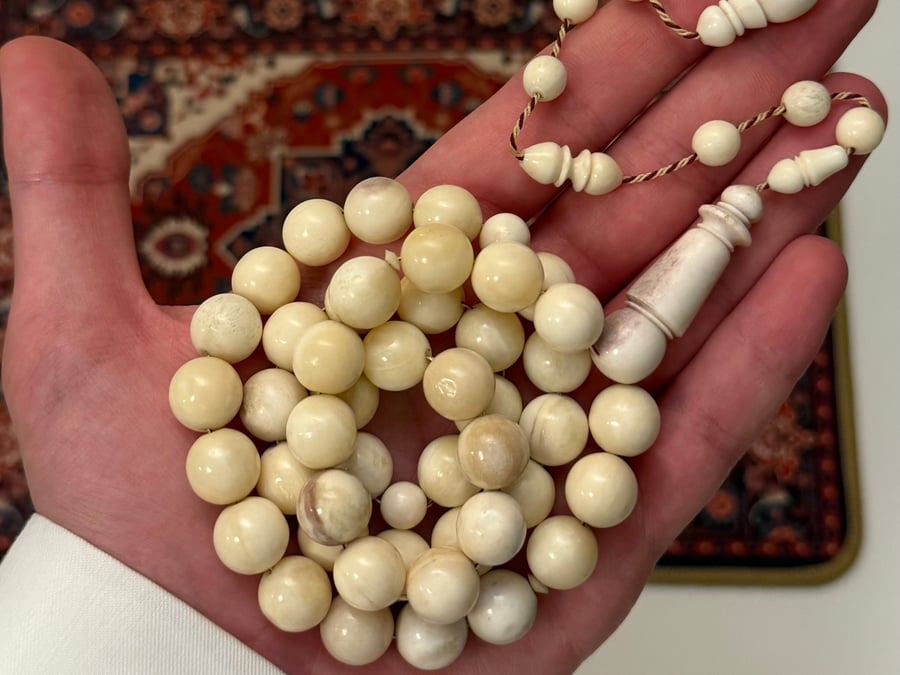 مسباح عظم الجمل (دائري فاخر)