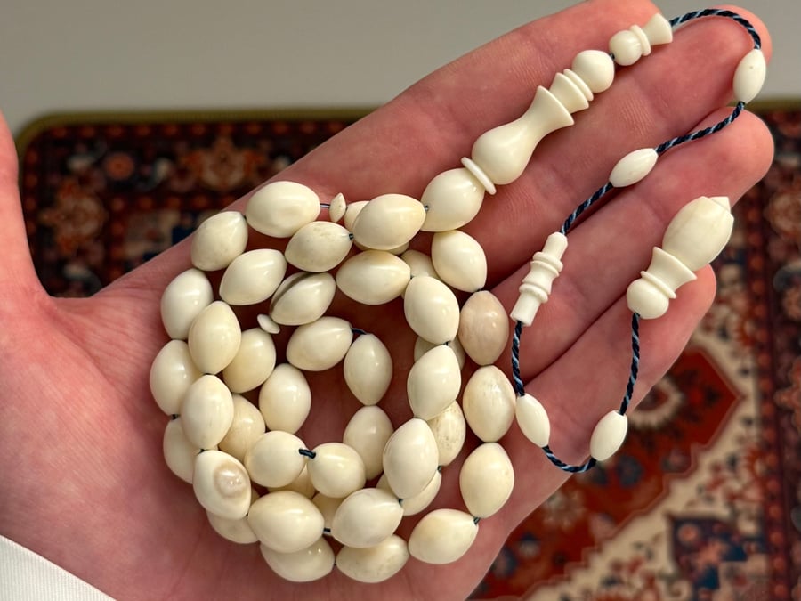 مسباح عظم الجمل (بيضاوي كبير)