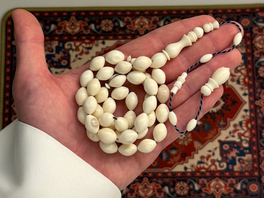 مسباح عظم الجمل (بيضاوي كبير)
